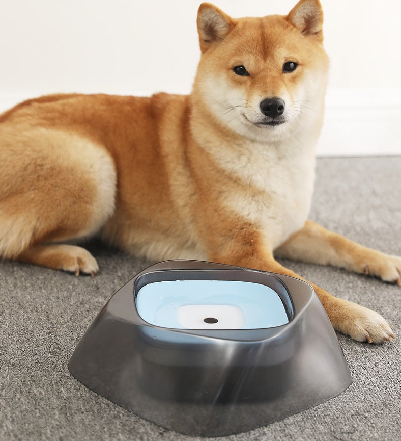 Mess-Free, Splash-Proof, Dog Bowl for Home & Travel