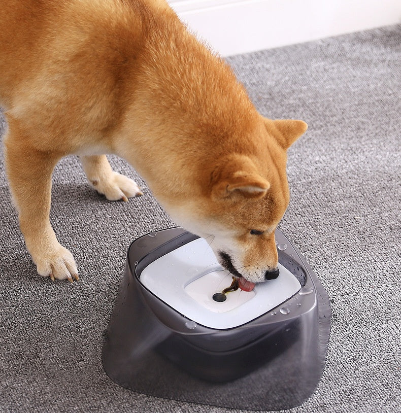 Mess-Free, Splash-Proof, Dog Bowl for Home & Travel