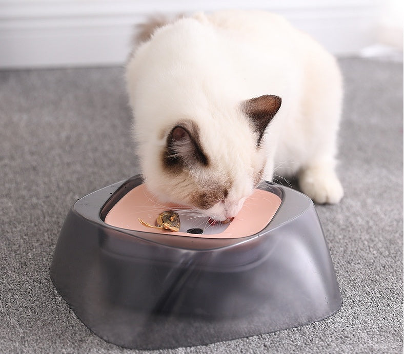 Mess-Free, Splash-Proof, Dog Bowl for Home & Travel