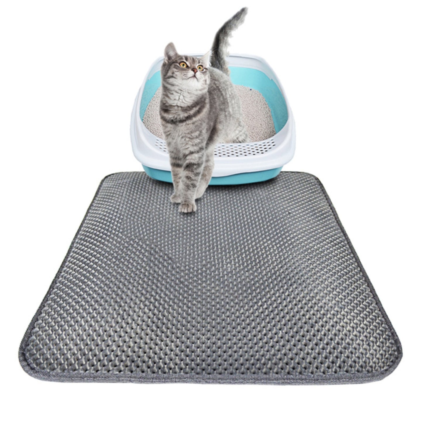 Easy Cleanup Kitty Litter Mat